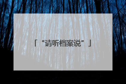 “请听档案说”