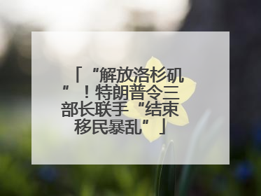 “解放洛杉矶”！特朗普令三部长联手“结束移民暴乱”