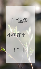 “这条小鱼在乎！”