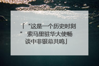 “这是一个历史时刻” 索马里驻华大使畅谈中非银幕共鸣