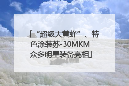“超级大黄蜂”、特色涂装苏-30MKM 众多明星装备亮相