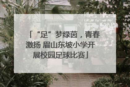 “足”梦绿茵，青春激扬 眉山东坡小学开展校园足球比赛