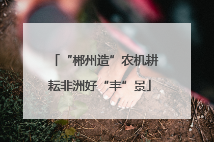 “郴州造”农机耕耘非洲好“丰”景