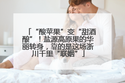 “酸苹果”变“甜酒酿”！盐源高原果的华丽转身，靠的是这场浙川千里“联姻”