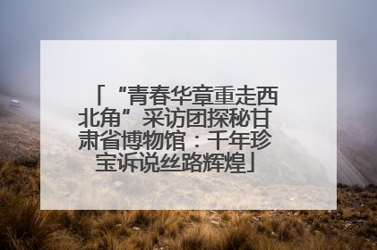 “青春华章重走西北角”采访团探秘甘肃省博物馆：千年珍宝诉说丝路辉煌