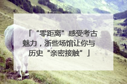 “零距离”感受考古魅力，浙些场馆让你与历史“亲密接触”