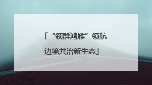 “领群鸿雁”领航边境共治新生态