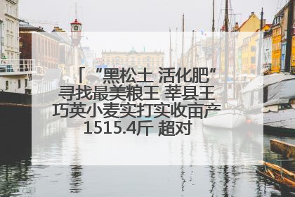 “黑松土 活化肥”寻找最美粮王 莘县王巧英小麦实打实收亩产1515.4斤 超对照田144斤！