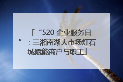 “520 企业服务日”：三湘南湖大市场灯石城赋能商户与职工