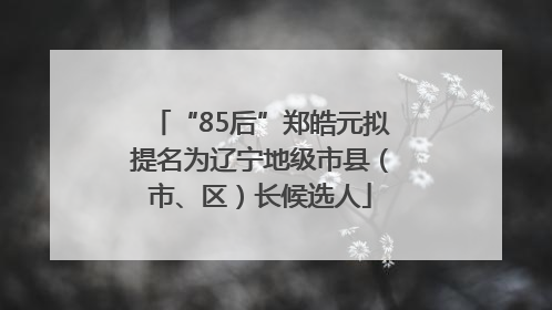 “85后”郑皓元拟提名为辽宁地级市县（市、区）长候选人