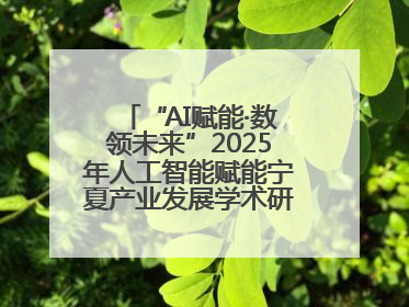“AI赋能·数领未来”2025年人工智能赋能宁夏产业发展学术研讨会在银川举办