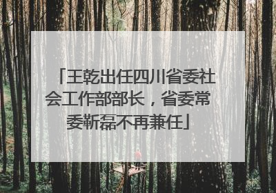 王乾出任四川省委社会工作部部长，省委常委靳磊不再兼任
