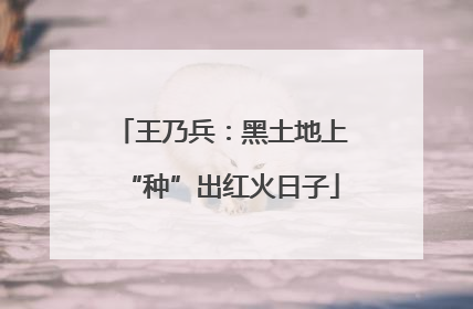 王乃兵：黑土地上“种”出红火日子