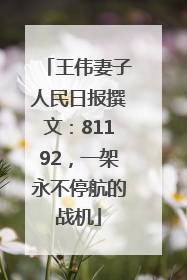 王伟妻子人民日报撰文：81192，一架永不停航的战机