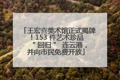 王宏喜美术馆正式揭牌！153 件艺术珍品 “ 回归 ” 连云港，并向市民免费开放