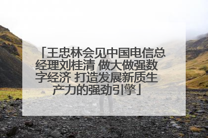 王忠林会见中国电信总经理刘桂清 做大做强数字经济 打造发展新质生产力的强劲引擎