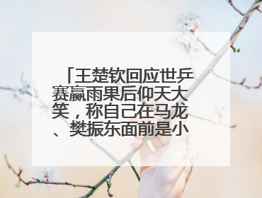 王楚钦回应世乒赛赢雨果后仰天大笑，称自己在马龙、樊振东面前是小孩，巴黎奥运被孙颖莎带着打