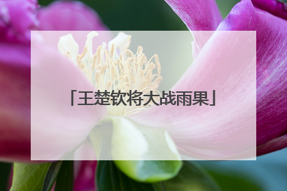 王楚钦将大战雨果