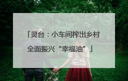 灵台：小车间榨出乡村全面振兴“幸福油”