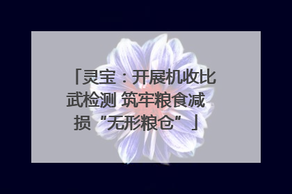 灵宝：开展机收比武检测 筑牢粮食减损“无形粮仓”
