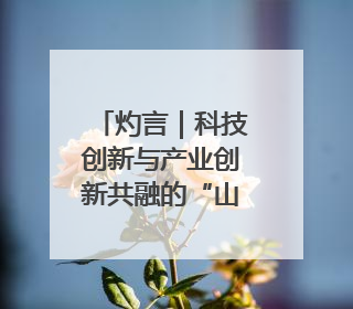 灼言｜科技创新与产业创新共融的“山东范儿”