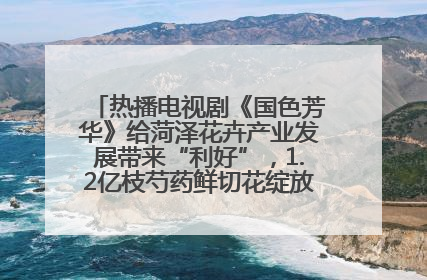 热播电视剧《国色芳华》给菏泽花卉产业发展带来“利好”，1.2亿枝芍药鲜切花绽放“国色芳华”
