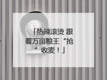 热辣滚烫 跟着万亩粮王“抢”收麦！