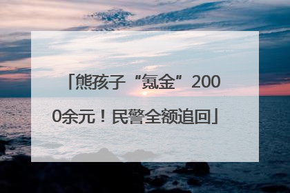 熊孩子“氪金”2000余元！民警全额追回