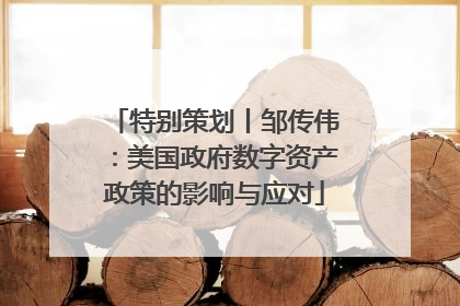 特别策划丨邹传伟：美国政府数字资产政策的影响与应对