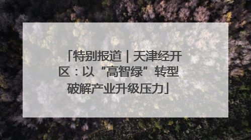 特别报道｜天津经开区：以“高智绿”转型破解产业升级压力