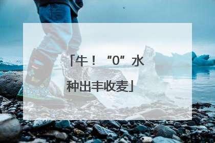 牛！“0”水种出丰收麦