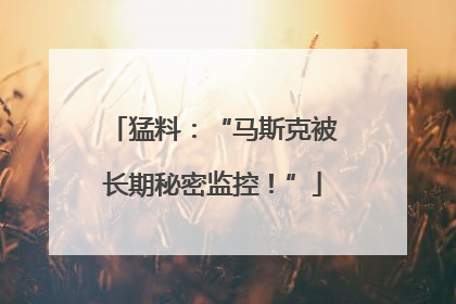 猛料：“马斯克被长期秘密监控！”