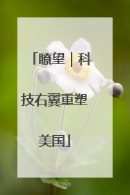 瞭望｜科技右翼重塑美国