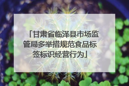 甘肃省临泽县市场监管局多举措规范食品标签标识经营行为