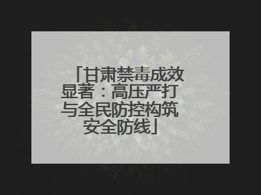 甘肃禁毒成效显著：高压严打与全民防控构筑安全防线