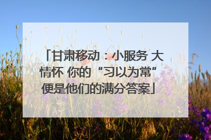 甘肃移动：小服务 大情怀 你的“习以为常”便是他们的满分答案