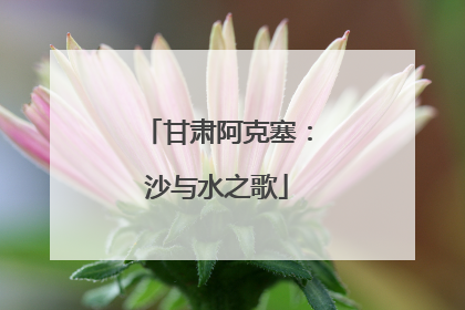 甘肃阿克塞：沙与水之歌