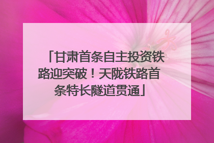 甘肃首条自主投资铁路迎突破！天陇铁路首条特长隧道贯通