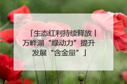 生态红利持续释放丨万峰湖“绿动力”提升发展“含金量”