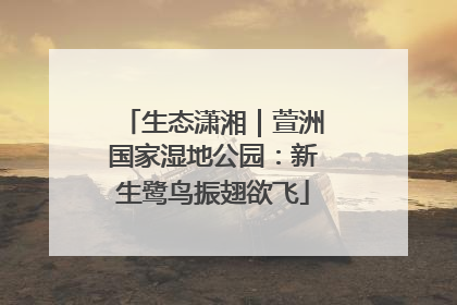 生态潇湘｜萱洲国家湿地公园：新生鹭鸟振翅欲飞