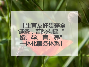 生育友好贯穿全链条，普陀构建“婚、孕、育、养”一体化服务体系