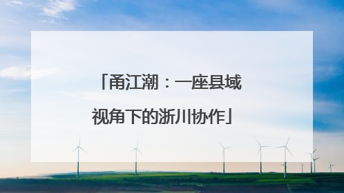 甬江潮：一座县域视角下的浙川协作