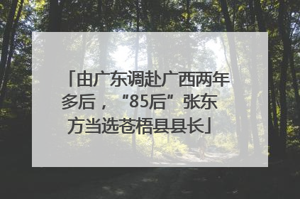 由广东调赴广西两年多后，“85后”张东方当选苍梧县县长