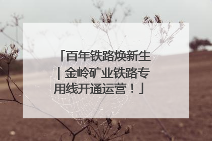 百年铁路焕新生｜金岭矿业铁路专用线开通运营！