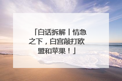 白话拆解丨情急之下，白宫敲打欧盟和苹果！