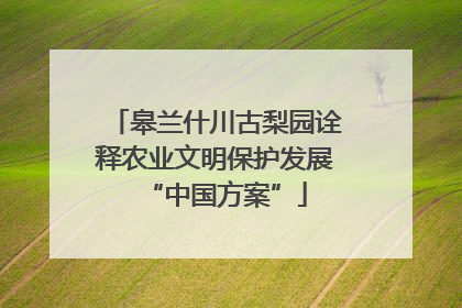 皋兰什川古梨园诠释农业文明保护发展“中国方案”