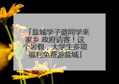 盐城学子邀同学来家乡 政府请客！这个暑假，大学生多项福利免费游盐城