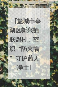 盐城市亭湖区新兴镇联盟村：密织“防火墙”守护蓝天净土