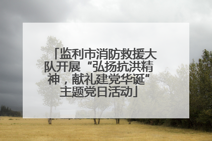 监利市消防救援大队开展“弘扬抗洪精神，献礼建党华诞”主题党日活动