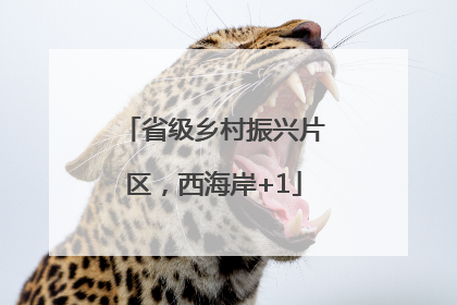省级乡村振兴片区，西海岸+1